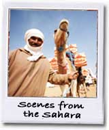 Day 4 camel photo