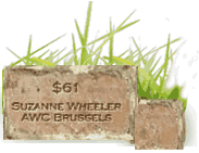 bricks image