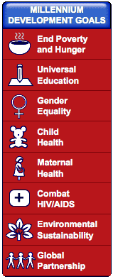 MDGs image