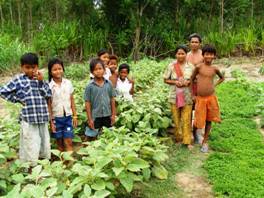 Wells for Clean Water Picture