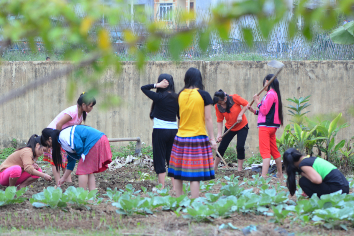 Women participating in agricultural training programs supported by Pacific Links Foundation.