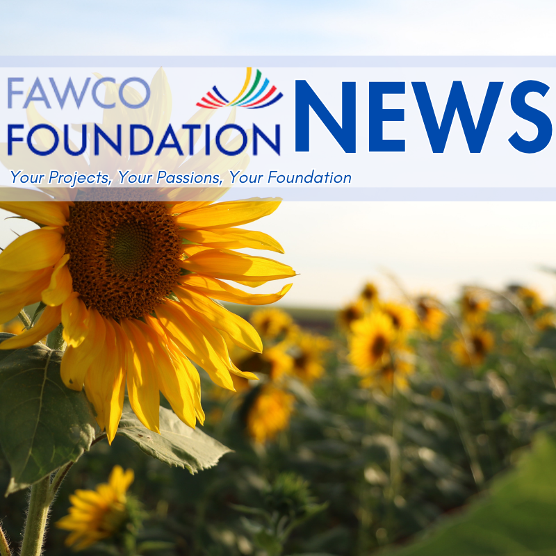 July 2025 Summer NEWS